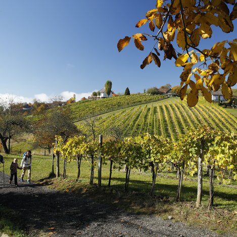 Wandern bei Klöch | © STG | Herbert Raffalt
