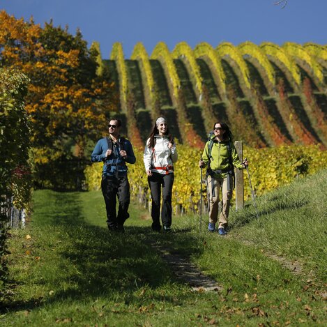 Wanderroute "Vom Gletscher zum Wein" bei Klöch | © STG | Herbert Raffalt