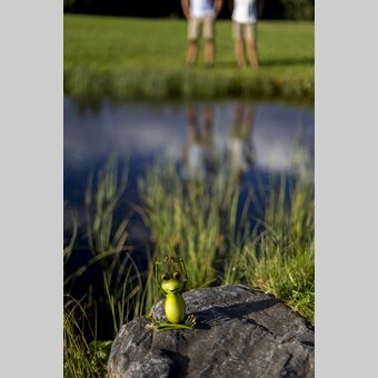 Steiermark-Frosch bei der Zeutschacher Ursprungsquelle | © STG | Tom Lamm