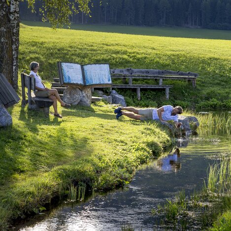 Zeutschacher Ursprungsquelle, eine Karstquelle mit einer Schüttung von 90 - 120 Liter Wasser pro Sekunde | © STG | Tom Lamm
