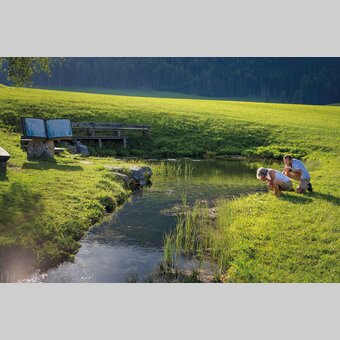 Zeutschacher Ursprungsquelle, eine Karstquelle mit einer Schüttung von 90 - 120 Liter Wasser pro Sekunde | © STG | Tom Lamm | Nur für Presse-Zwecke!