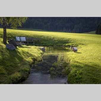 Zeutschacher Ursprungsquelle, eine Karstquelle mit einer Schüttung von 90 - 120 Liter Wasser pro Sekunde | © STG | Tom Lamm