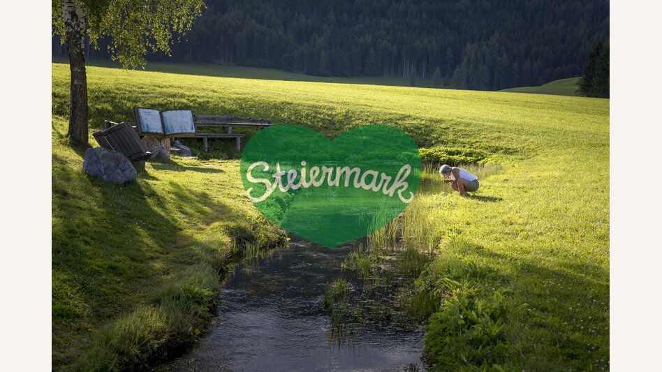 Zeutschacher Ursprungsquelle, eine Karstquelle mit einer Schüttung von 90 - 120 Liter Wasser pro Sekunde | © STG | Tom Lamm