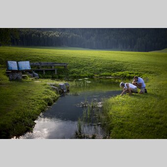 Zeutschacher Ursprungsquelle, eine Karstquelle mit einer Schüttung von 90 - 120 Liter Wasser pro Sekunde | © STG | Tom Lamm