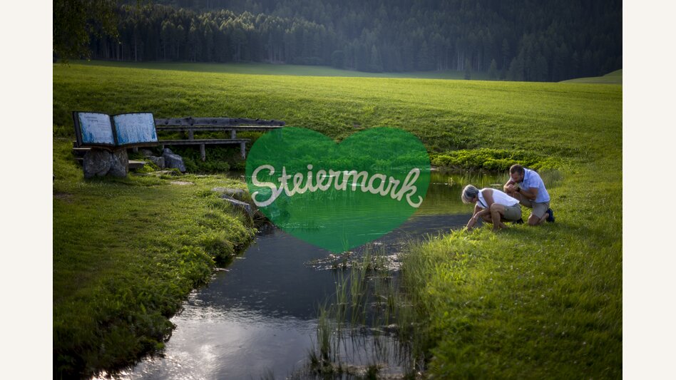 Zeutschacher Ursprungsquelle, eine Karstquelle mit einer Schüttung von 90 - 120 Liter Wasser pro Sekunde | © STG | Tom Lamm