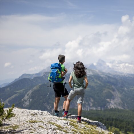 Blick auf den Dachsteingletscher: Wanderroute "Vom Gletscher zum Wein" | © STG | Tom Lamm