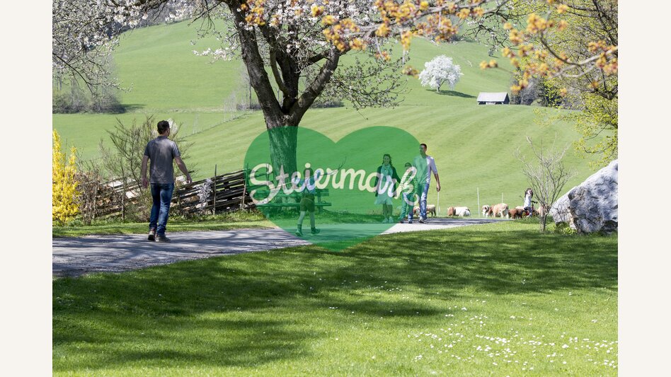 Osterurlaub am Bauernhof, Zehenthof in Semriach | © STG | Tom Lamm