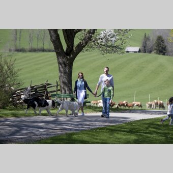 Osterurlaub am Bauernhof, Zehenthof in Semriach | © STG | Tom Lamm