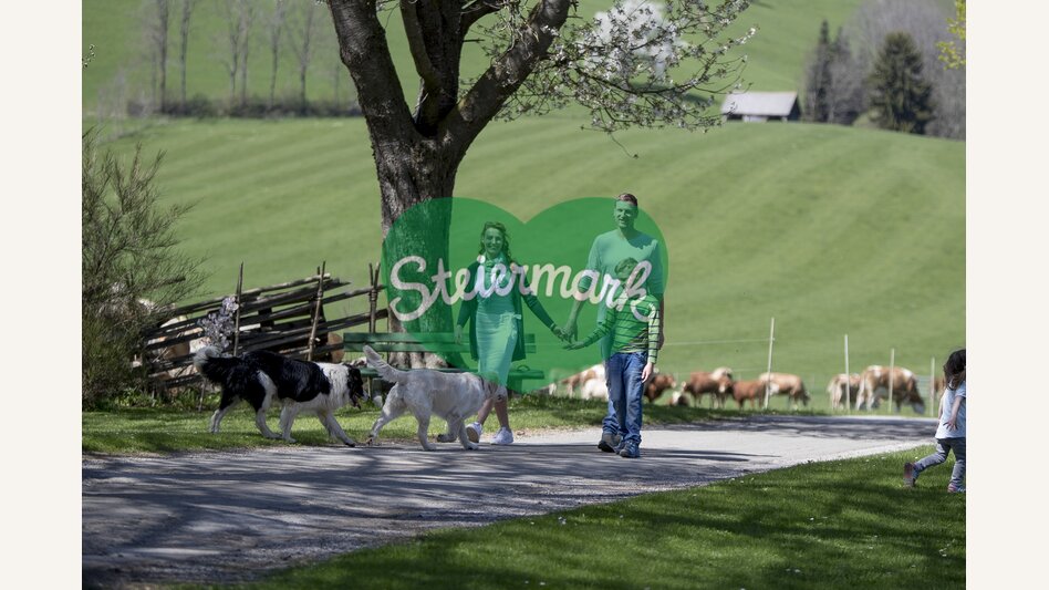 Osterurlaub am Bauernhof, Zehenthof in Semriach | © STG | Tom Lamm