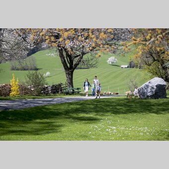Osterurlaub am Bauernhof, Zehenthof in Semriach | © STG | Tom Lamm