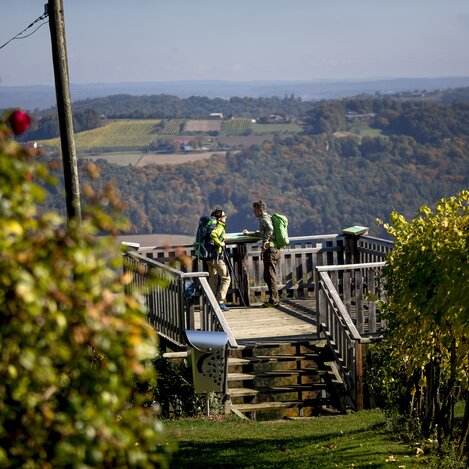 Aussichtsplattform in Klöch auf der Wanderroute "Vom Gletscher zum Wein"  | © STG | Tom Lamm