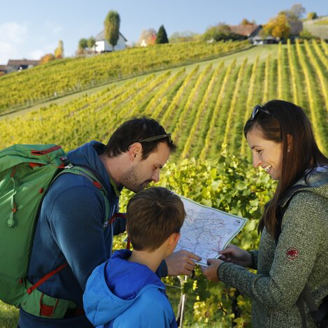 Wanderroute "Vom Gletscher zum Wein" bei Klöch | © STG | Herbert Raffalt