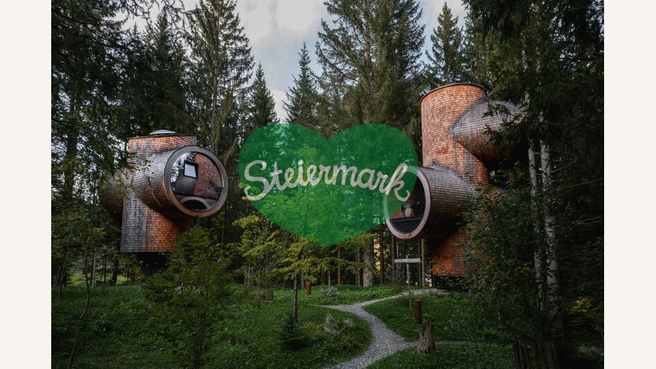 Baumhäuser am Pogusch/Steirereck | © STG | Elena Egger