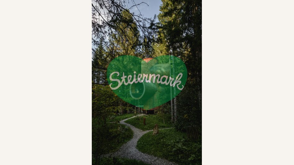 Baumhäuser am Pogusch/Steirereck | © STG | Elena Egger