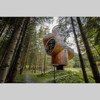 Baumhäuser am Pogusch/Steirereck | © STG | Elena Egger