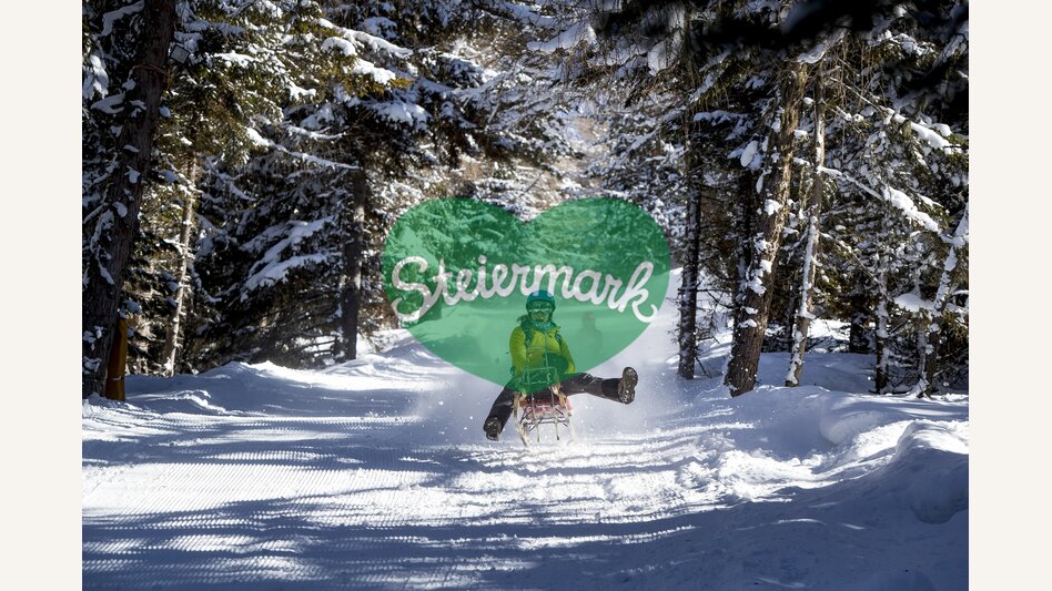 Rodeln bei der Tonnerhütte in Mühlen | © STG | Tom Lamm