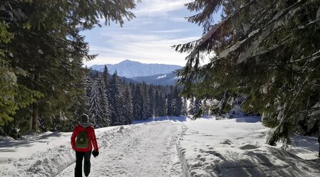 Winterspaziergang im Ausseerland | © STG | Maria Scharler