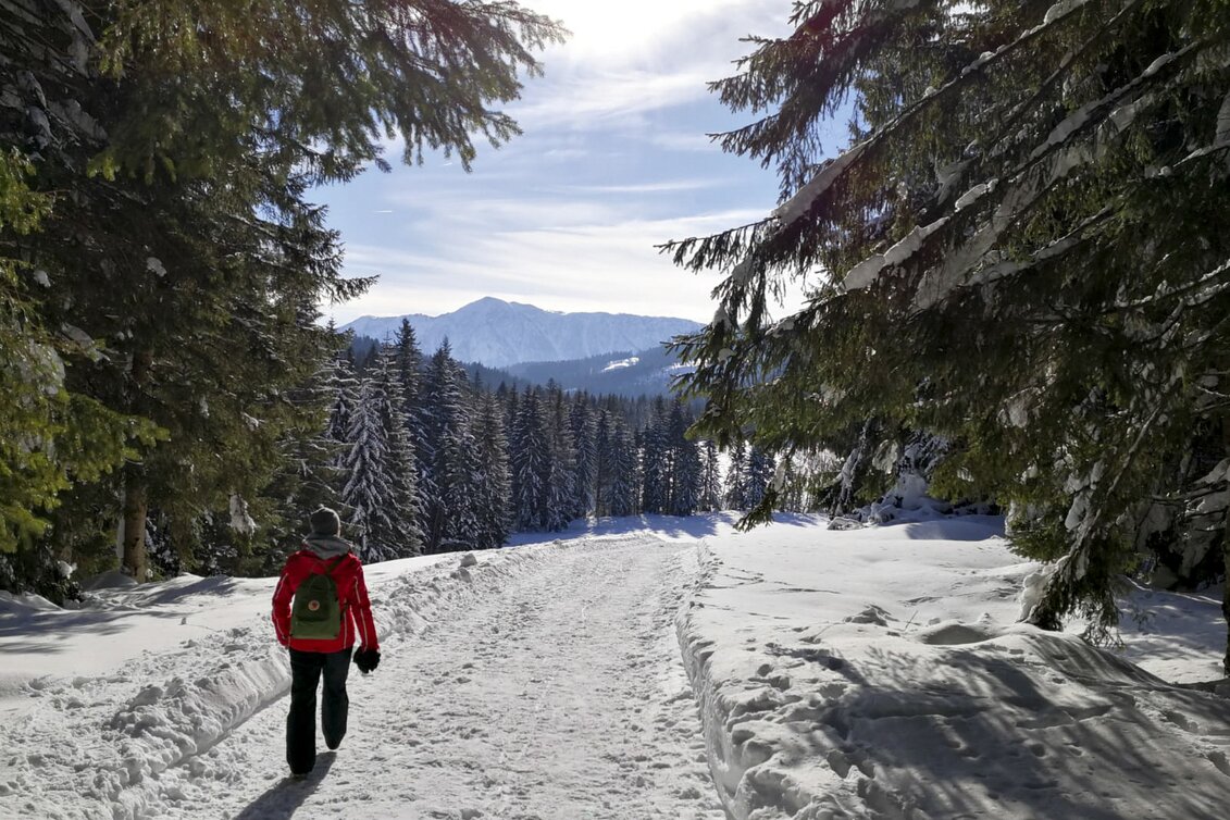 Winterspaziergang im Ausseerland | © STG | Maria Scharler