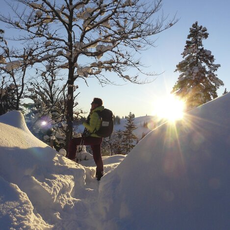Schneeschuhwandern | © WEGES | Weges