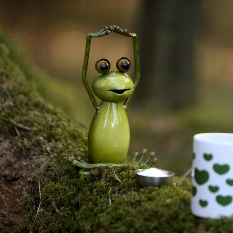 Steiermark-Frosch mit Herzhäferln bei der Rast im Wald | © STG | Bernhard Loder