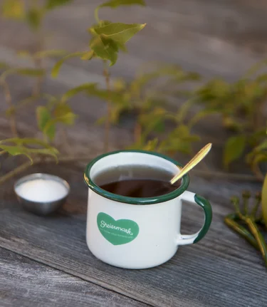 Durstiger Steiermark-Frosch mit Herzhäferl | © STG | Bernhard Loder