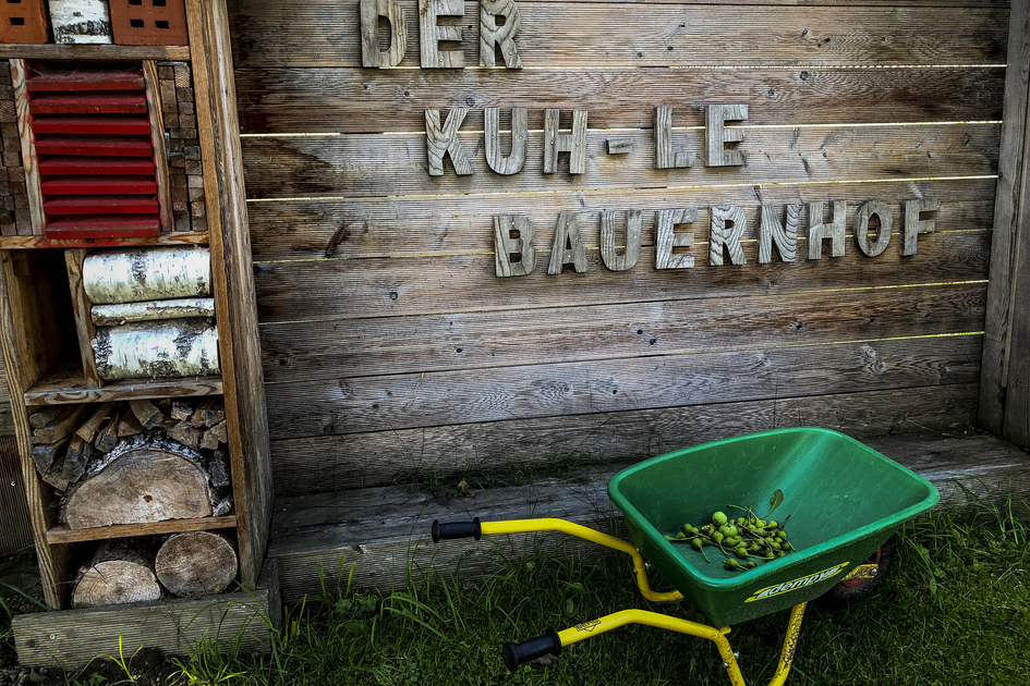 Kuhl farm | © Steiermark Tourismus | Manfred Polansky