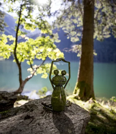 Styrian frog at the lake | © Steiermark Tourismus | Tom Lamm
