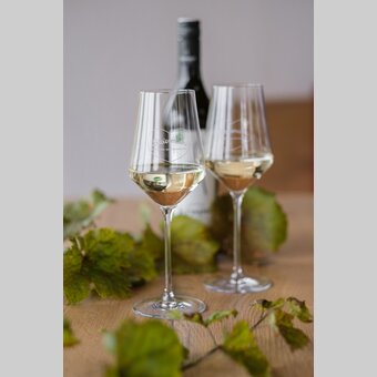 Wein aus der Steiermark | © STG | Elena Egger