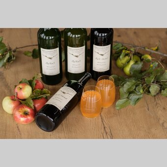 Apfelsaft Weissenbacher | © STG | Elena Egger