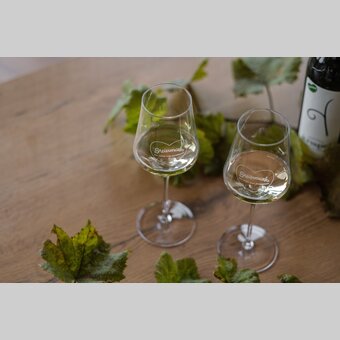 Wein aus der Steiermark | © STG | Elena Egger