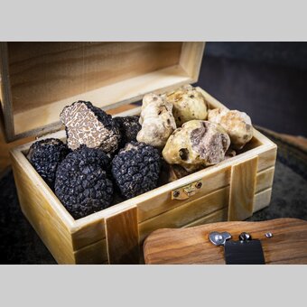 Trüffeln beim Grazer Trüffelfestival | © Graz Tourismus | Werner Krug