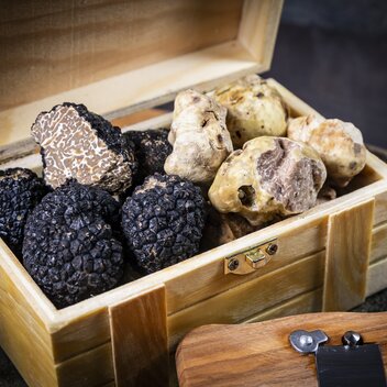 Trüffeln beim Grazer Trüffelfestival | © Graz Tourismus | Werner Krug