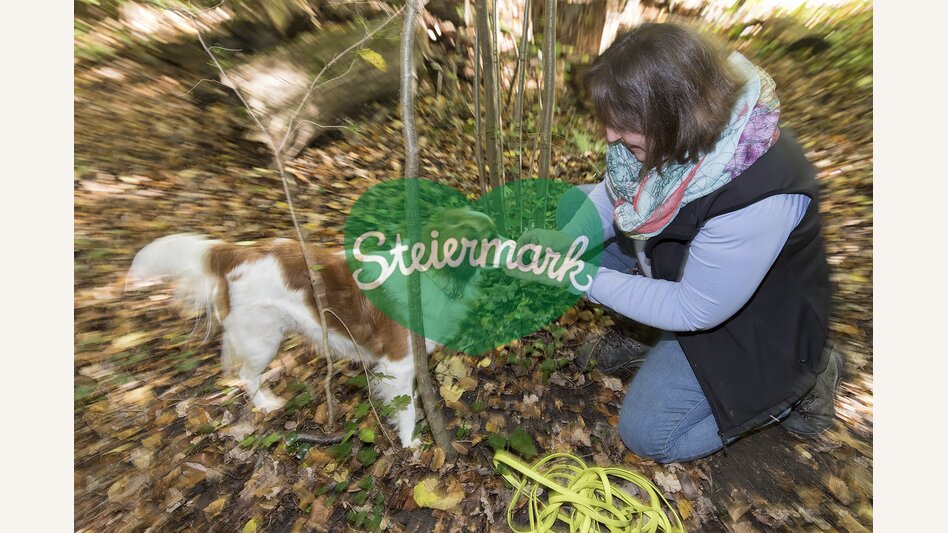 Trüffelwanderung im Grazer Bergland im Rahmen des Grazer Trüffelfestivals | © Graz Tourismus | Harry Schiffer