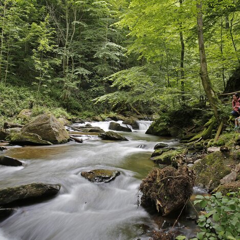 Deutschlandsberger Laßnitzklause | © STG | Herbert Raffalt