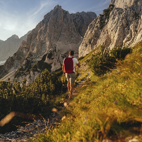Bei den "Steinernen Jungfrauen", einer bizarren Felsformation am Fuße des Dachstein | © STG | photo-austria.at