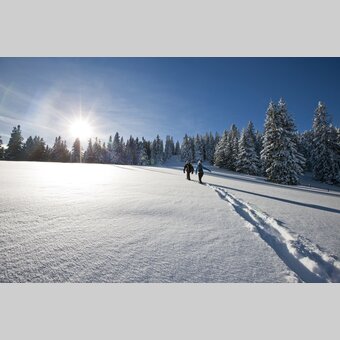 Schneeschuhwandern am Salzstiegl | © STG | Tom Lamm