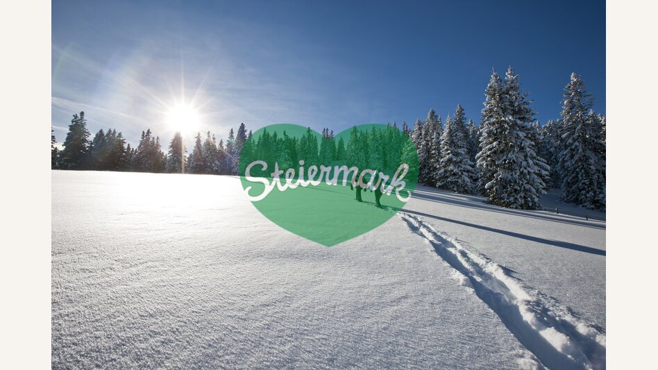 Schneeschuhwandern am Salzstiegl | © STG | Tom Lamm