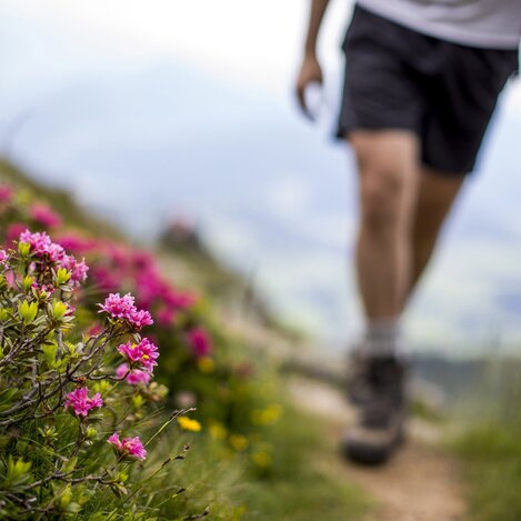 Wandern am Greim bei St. Peter am Kammersberg | © STG | Tom Lamm