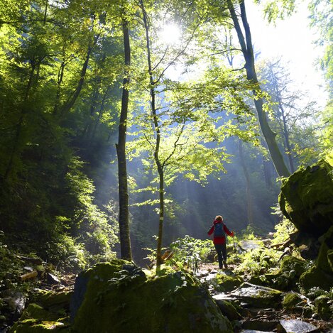 Wanderung in der Heilgengeistklamm bei Leutschach  | © STG | Gery Wolf