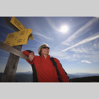Auf der Pretul in den Fischbacher Alpen | © STG | Harry Schiffer