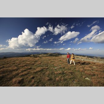 Zwischen Stuhleck und Pretul | © STG | Harry Schiffer