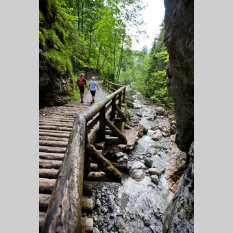 Auf dem Weg zum Hochschwab  | © STG | Tom Lamm | ETZ Projekt Hiking & Biking SI-AT