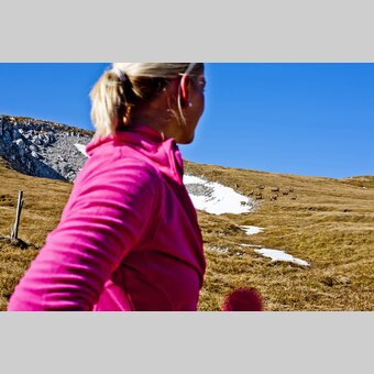 Auf der Schneealm im Naturpark Mürzer Oberland mit Steinböcken | © STG | Tom Lamm | ETZ Projekt Hiking & Biking SI-AT
