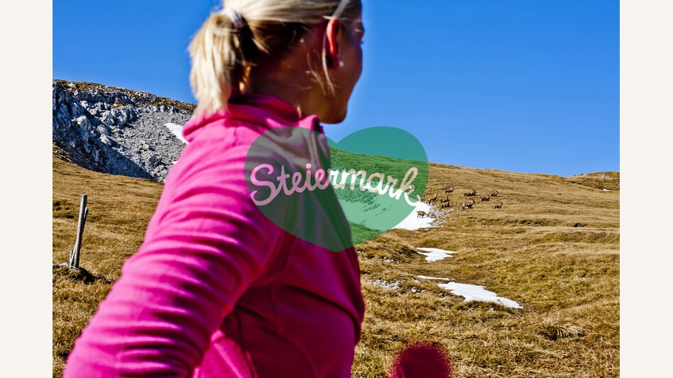 Auf der Schneealm im Naturpark Mürzer Oberland mit Steinböcken | © STG | Tom Lamm | ETZ Projekt Hiking & Biking SI-AT