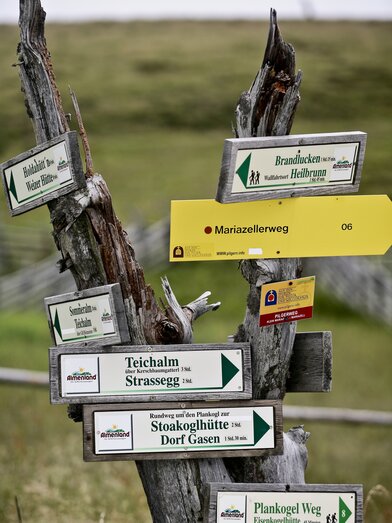 Mariazell Way | © Steiermark Tourismus | Leo Himsl | ETZ-Pilgrimage Europe SI-AT