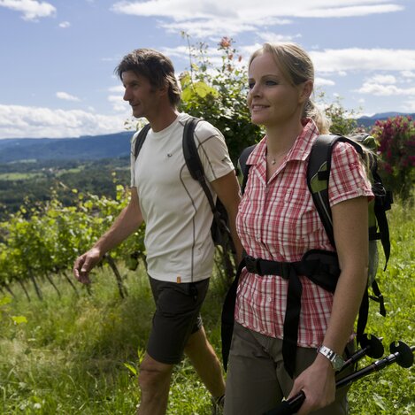 Wandern in Stainz | © STG | Leo Himsl | ETZ-Pilgrimage Europe SI-AT