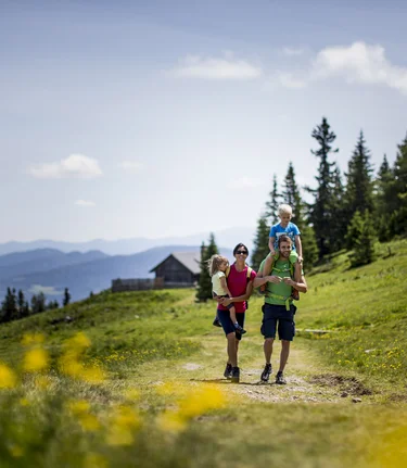Spring hike to the Almrauschblüte at the Frauenalpe | © Steiermark Tourismus | Tom Lamm