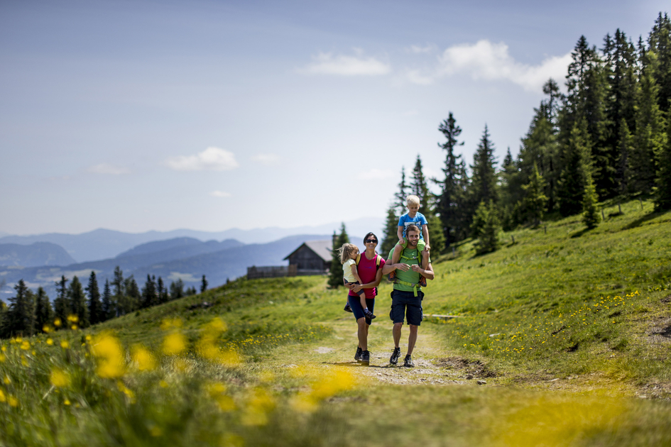 Spring hike to the Almrauschblüte at the Frauenalpe | © Steiermark Tourismus | Tom Lamm