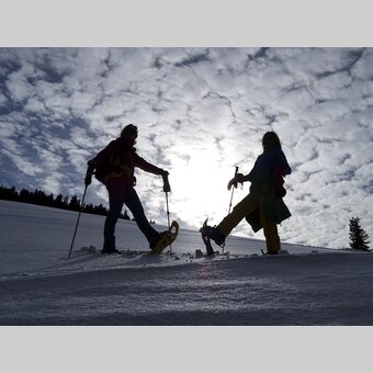 Schneeschuhwandern am Niederalpl | © WEGES | Weges