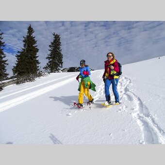 Schneeschuhwandern am Niederalpl | © WEGES | Weges